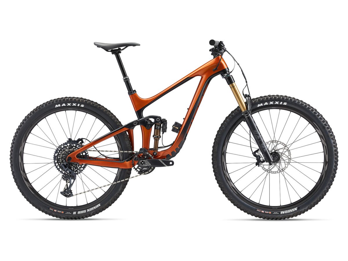 REIGN ADVANCED PRO 29 1